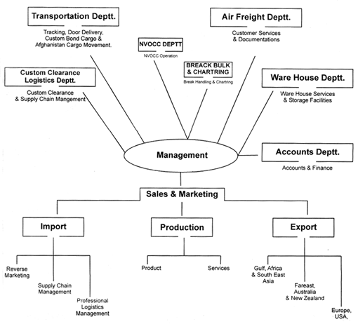 organization structure